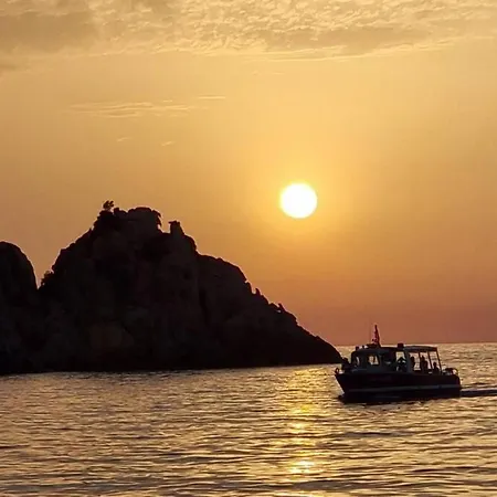 D'architecte, Piscine Privative, Corse Villa Vico