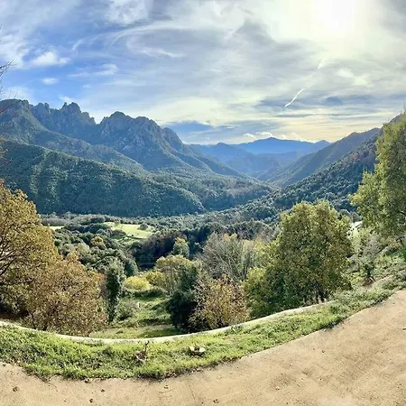 Βίλα D'architecte, Piscine Privative, Corse