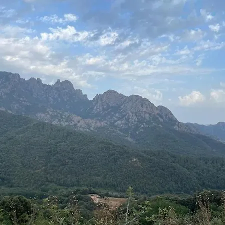 Βίλα D'architecte, Piscine Privative, Corse Vico