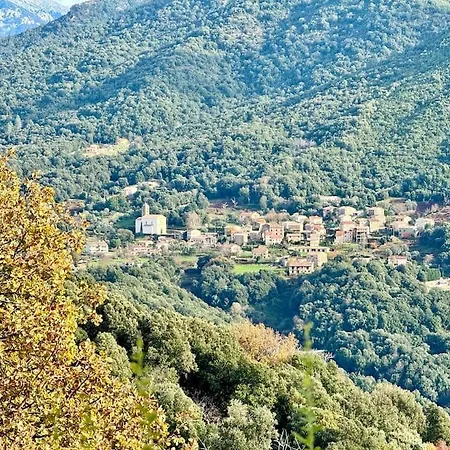 Villa D'architecte, Piscine Privative, Corse Vico