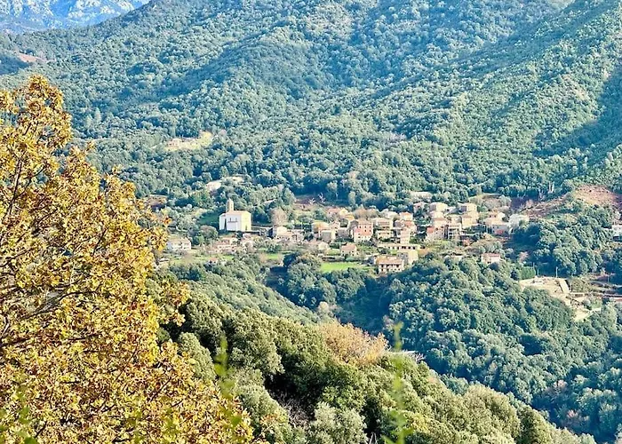 Villa D'architecte, Piscine Privative, Corse Vico